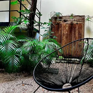 Una Luna Confortable Studio-adults Only Hotel Tulum
