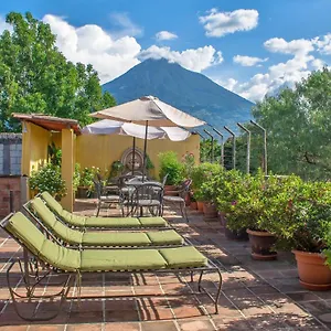 Camelias By Ahs Hotel Antigua